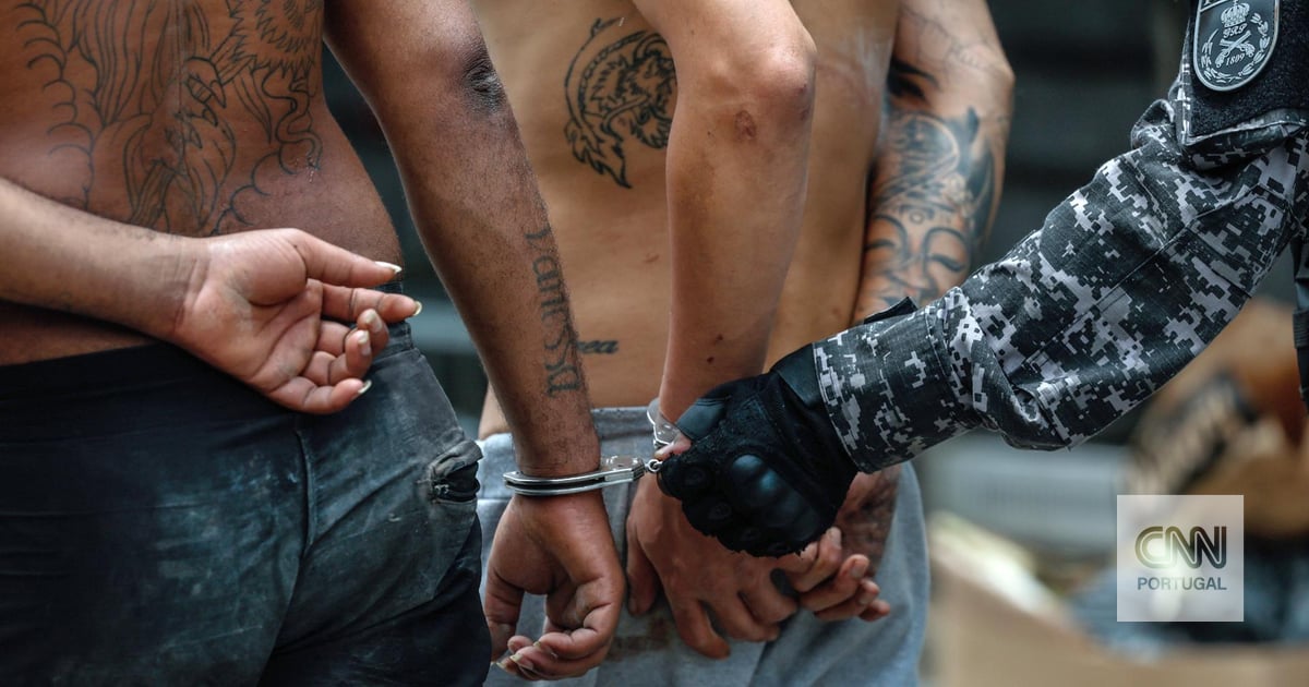 Moradores encontram mais de 40 corpos após operação policial no Rio de Janeiro