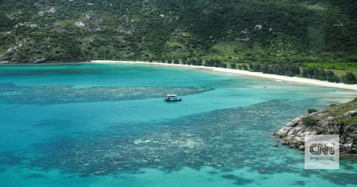 Idosa encontrada morta em ilha tropical depois de cruzeiro partir sem ela