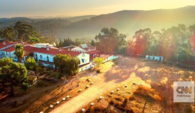 "Uma monstruosidade". Escola Internacional de Aljezur encerrada compulsivamente "sem aviso prévio"