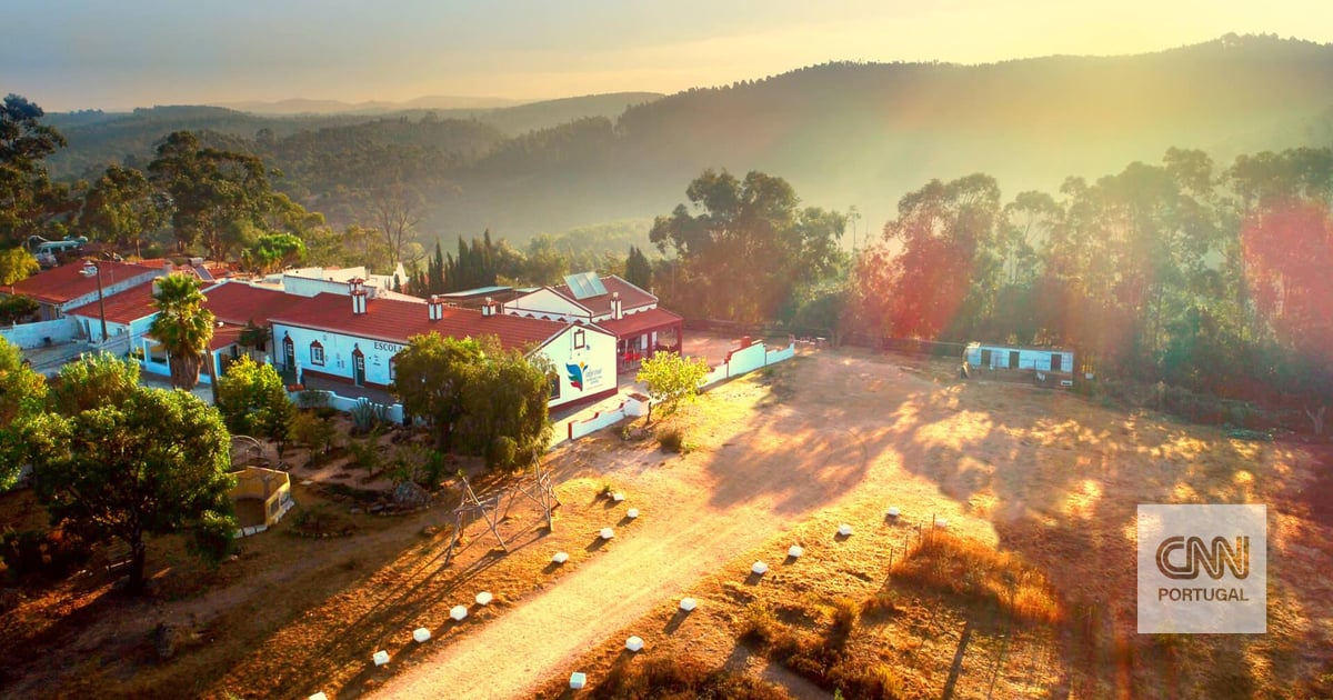 "Uma monstruosidade". Escola Internacional de Aljezur encerrada compulsivamente "sem aviso prévio"