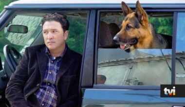 Casa onde foi gravada a série «Inspetor Max» está ao abandono? Novas imagens mostram cenário inesperado - Dois às 10