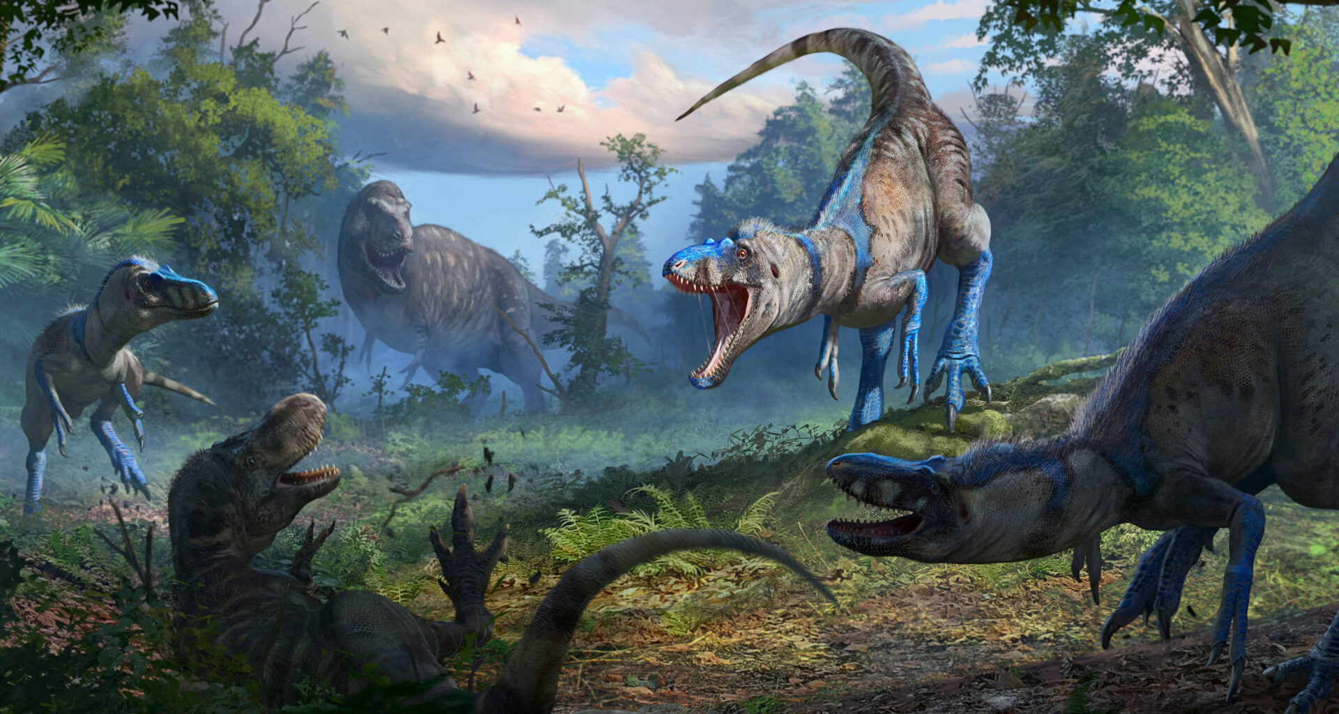 Nanotyrannus seria uma outra espécie, não um jovem T. rex - 31/10/2025 - Ciência