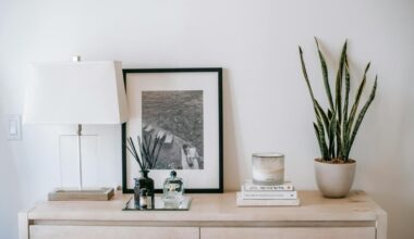 Estudos confirmam: nova planta do Lidl pode mudar a forma como cuidas da tua saúde