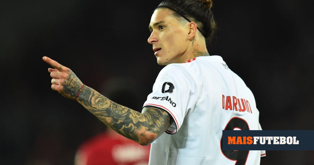 Darwin: a história de uma observação que começou muito antes de Almería