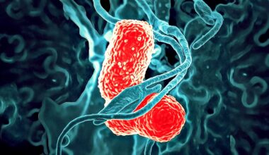 Vacina preveniu até 88% de vários cancros agressivos em novo estudo