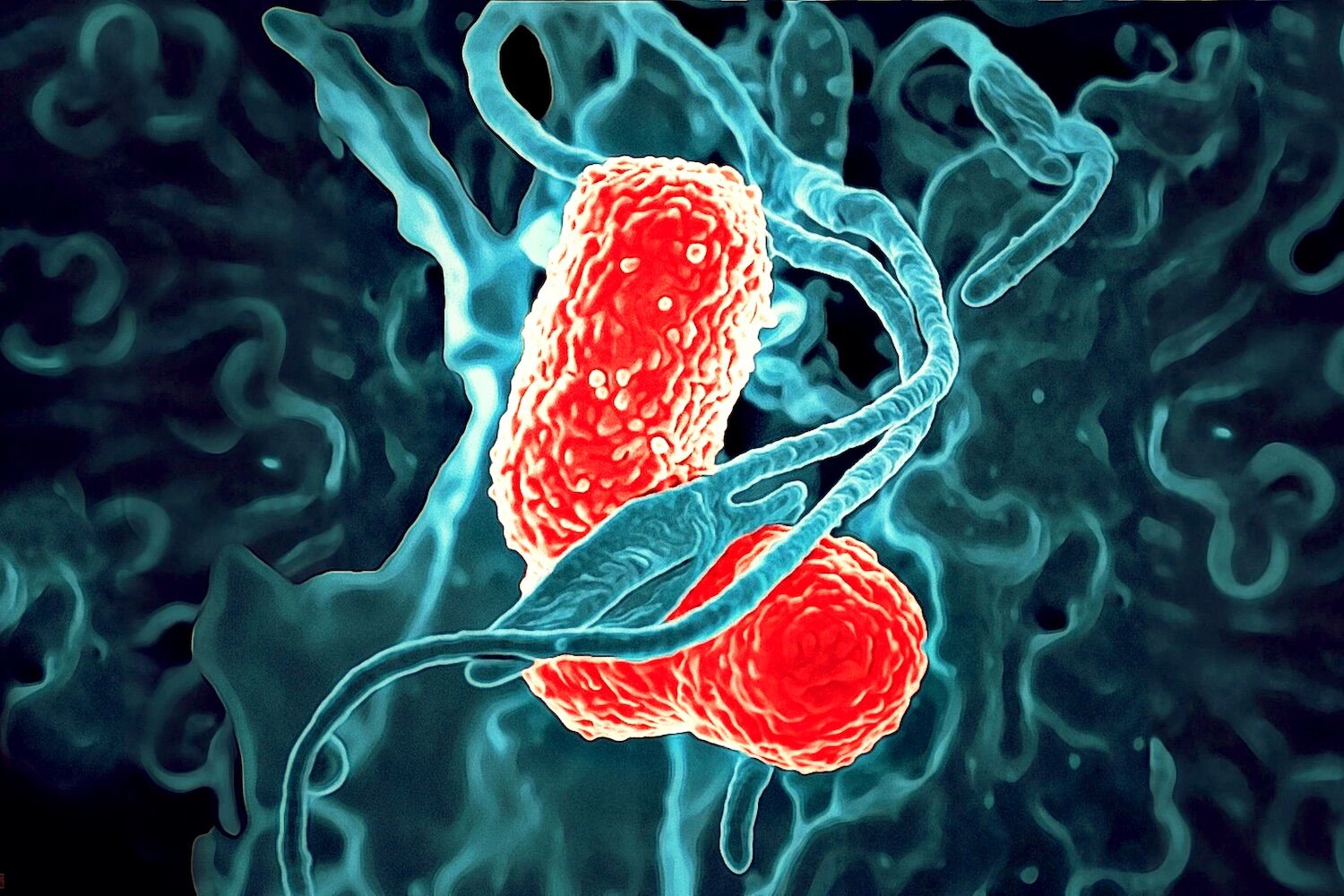 Vacina preveniu até 88% de vários cancros agressivos em novo estudo