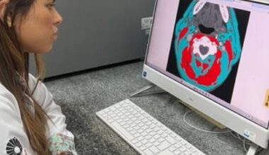 Gordura e massa muscular ajudam a prolongar a vida de pacientes com câncer