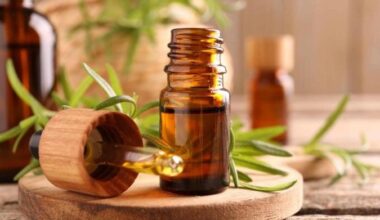 O óleo de alecrim pode ajudar no crescimento dos fios, mas o uso isolado do produto não é capaz de resolver todos os tipos de queda capilar (Imagem: New Africa