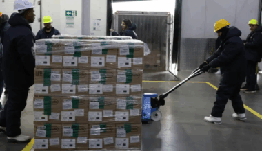 Brasil recebe lote de medicamento para tratar câncer de mama no SUS - Portal Imbiara