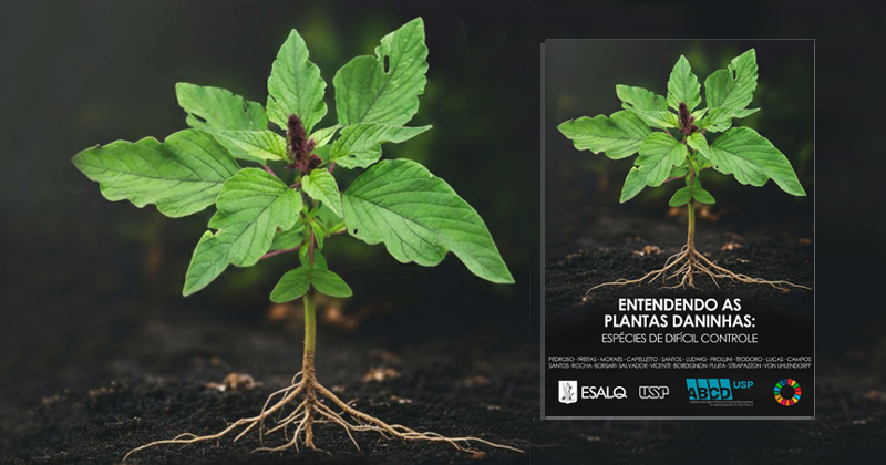 Imagem de uma planta com raízes e ao lado uma capa de livro com a mesma planta