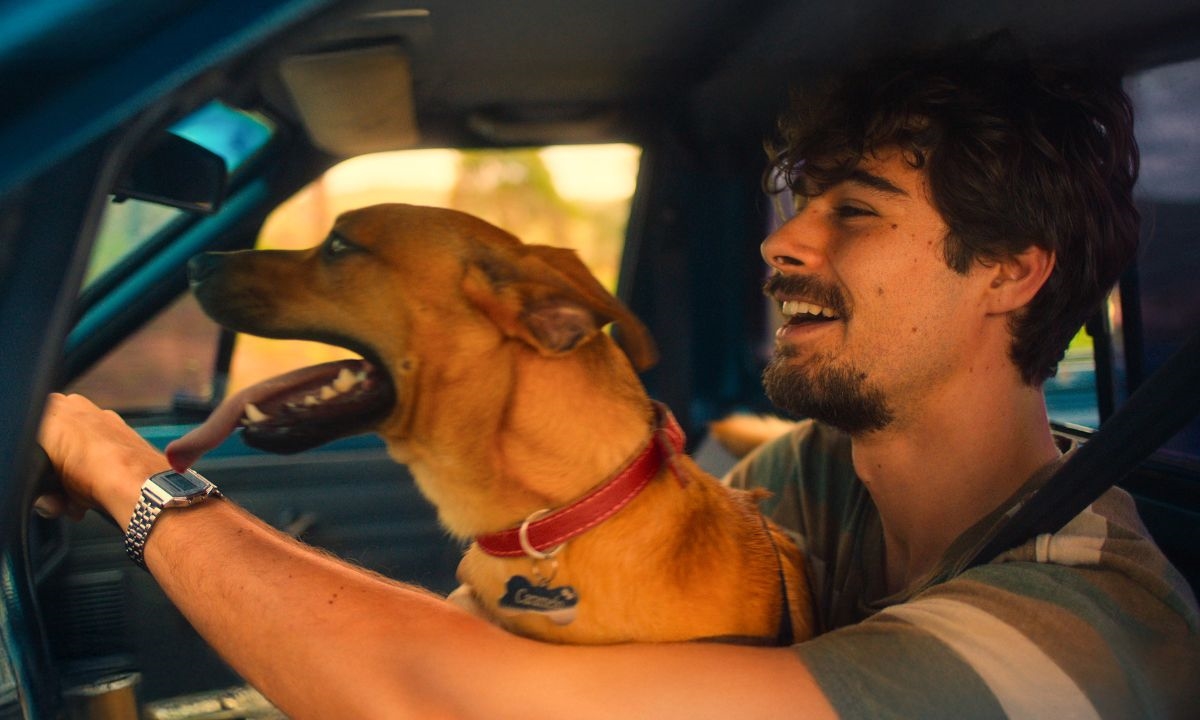 FOTO: Divulgação Diário do Grande ABC - Notícias e informações do Grande ABC: Santo André, São Bernardo, São Caetano, Diadema, Mauá, Ribeirão Pires e Rio Grande da Serra