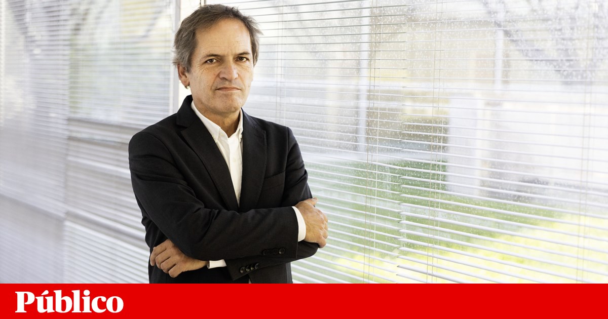 Universidades chamadas a verificar autenticidade de documentos de estrangeiros | Ensino Superior