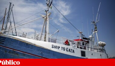 Flotilha: 137 activistas vão ser repatriados. Portugueses ainda sem data de regresso | Médio Oriente