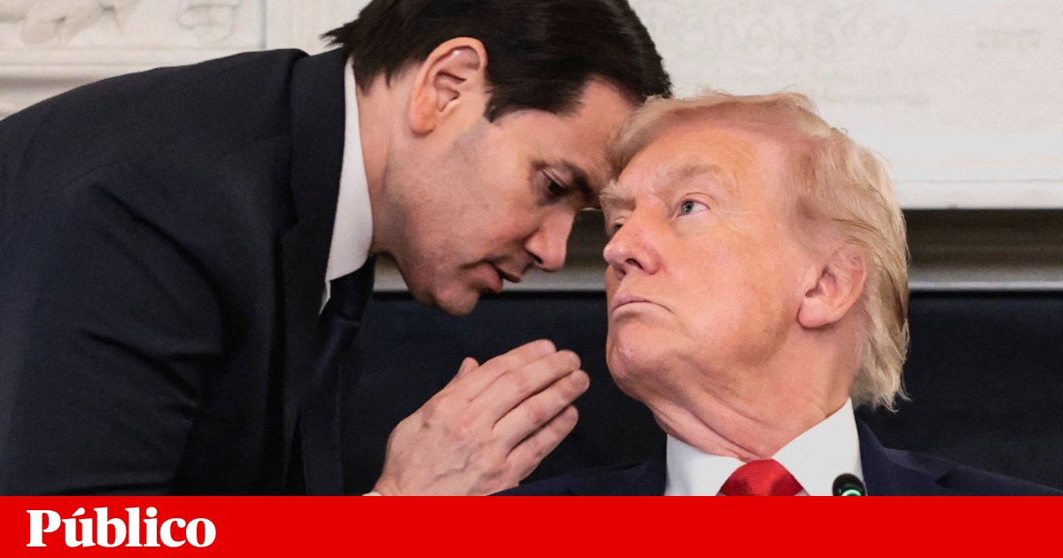 Hamas e Israel assinaram primeira fase do acordo de Paz, diz Trump | Médio Oriente