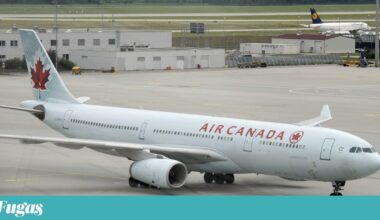 Air Canada oferece bebidas alcoólicas gratuitas em económica | Viagens