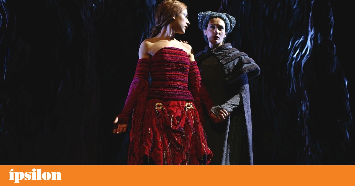 Fim-de-semana na TV: Bond e Kafka entre a prisão e as autárquicas | Televisão