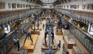 Detida suspeita de roubo de ouro do museu de História Natural de Paris | Património