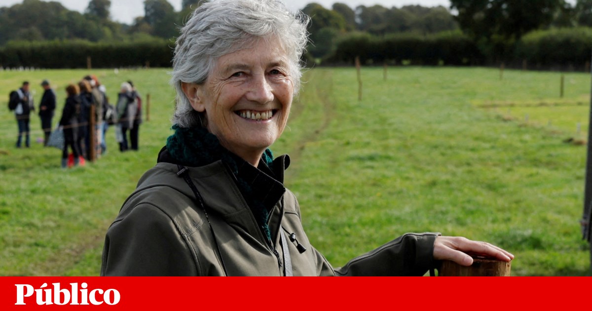 Catherine Connolly vence eleições presidenciais na Irlanda com larga margem | República da Irlanda