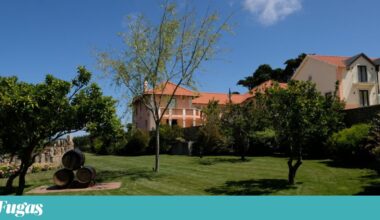 Sintra tem novo hotel: Quinta da Maquia quer ser um “refúgio de charme” | Hotéis