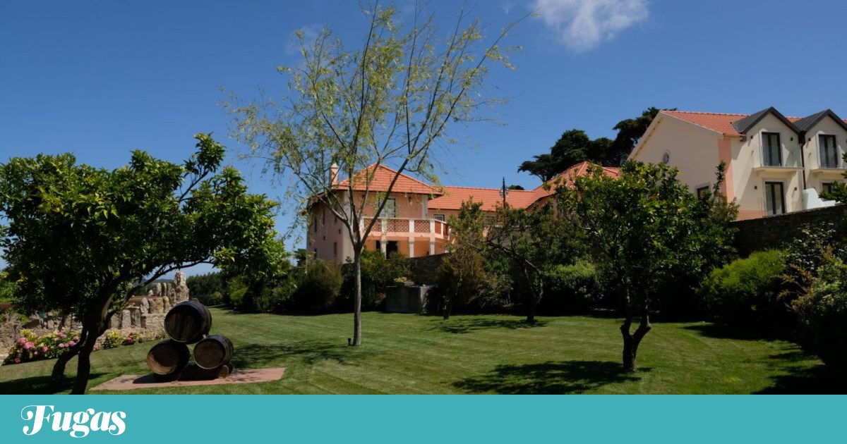 Sintra tem novo hotel: Quinta da Maquia quer ser um “refúgio de charme” | Hotéis