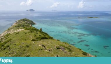 Octogenária encontrada morta depois de cruzeiro ter partido sem ela | Cruzeiros