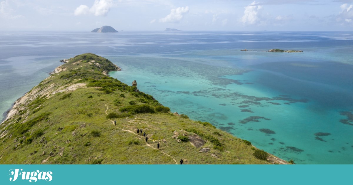 Octogenária encontrada morta depois de cruzeiro ter partido sem ela | Cruzeiros