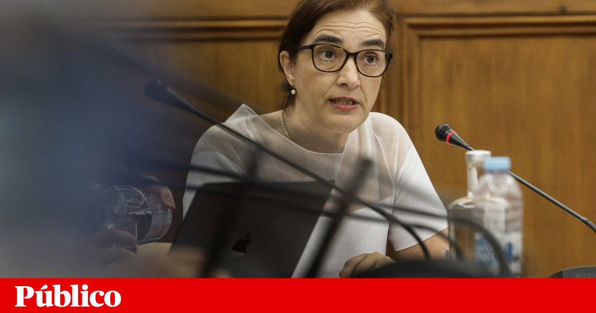 Ex-ministra e outros 28 docentes da Nova de Lisboa violaram dever de exclusividade | Universidades
