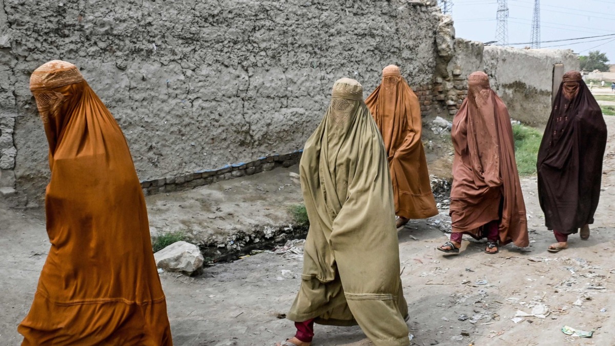 Jornal de Notícias Logo