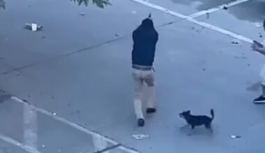 Jornal de Notícias Logo