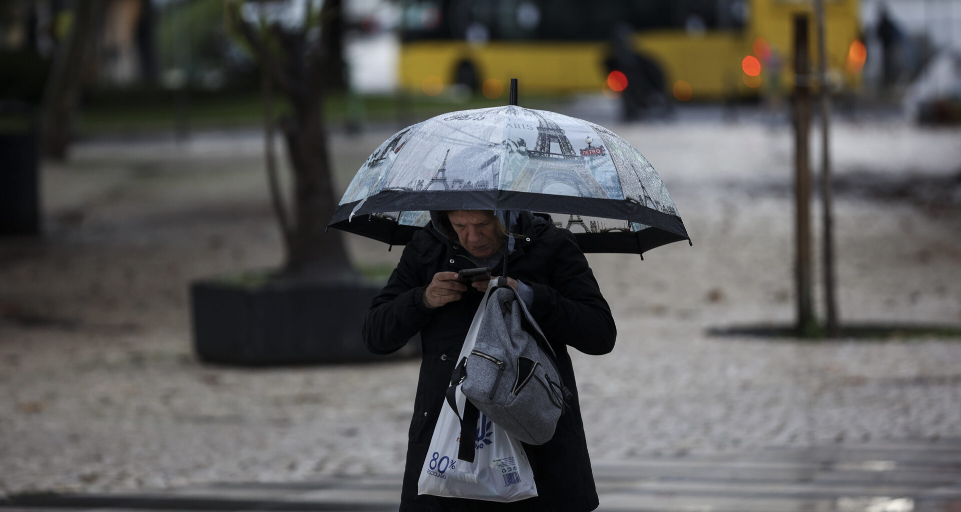 Chuva regressa, mas risco de incêndio mantém-se elevado em 14 concelhos