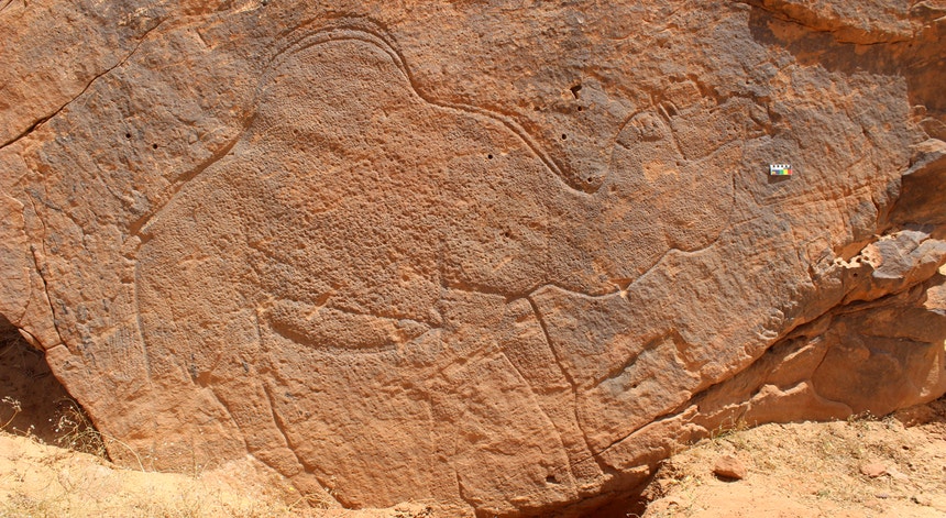 Arábia Saudita. Encontrados 62 painéis de arte rupestre com 12 mil anos