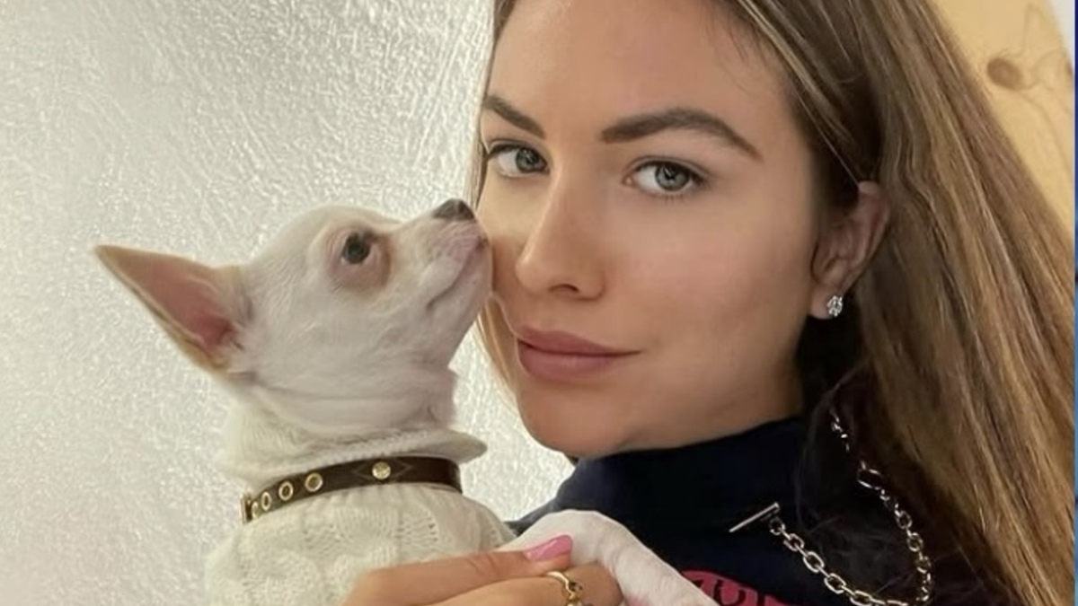 Jornal de Notícias Logo