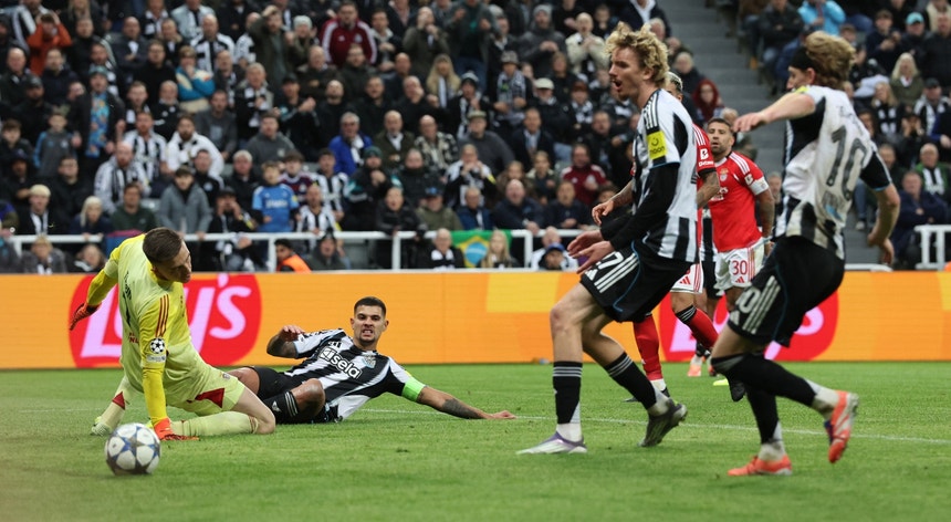 Liga dos Campeões. Newcastle - SL Benfica