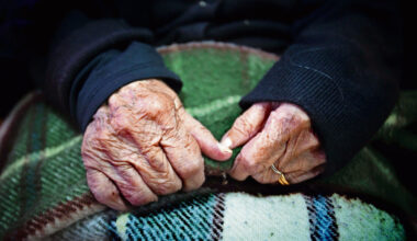 Jornal de Notícias Logo