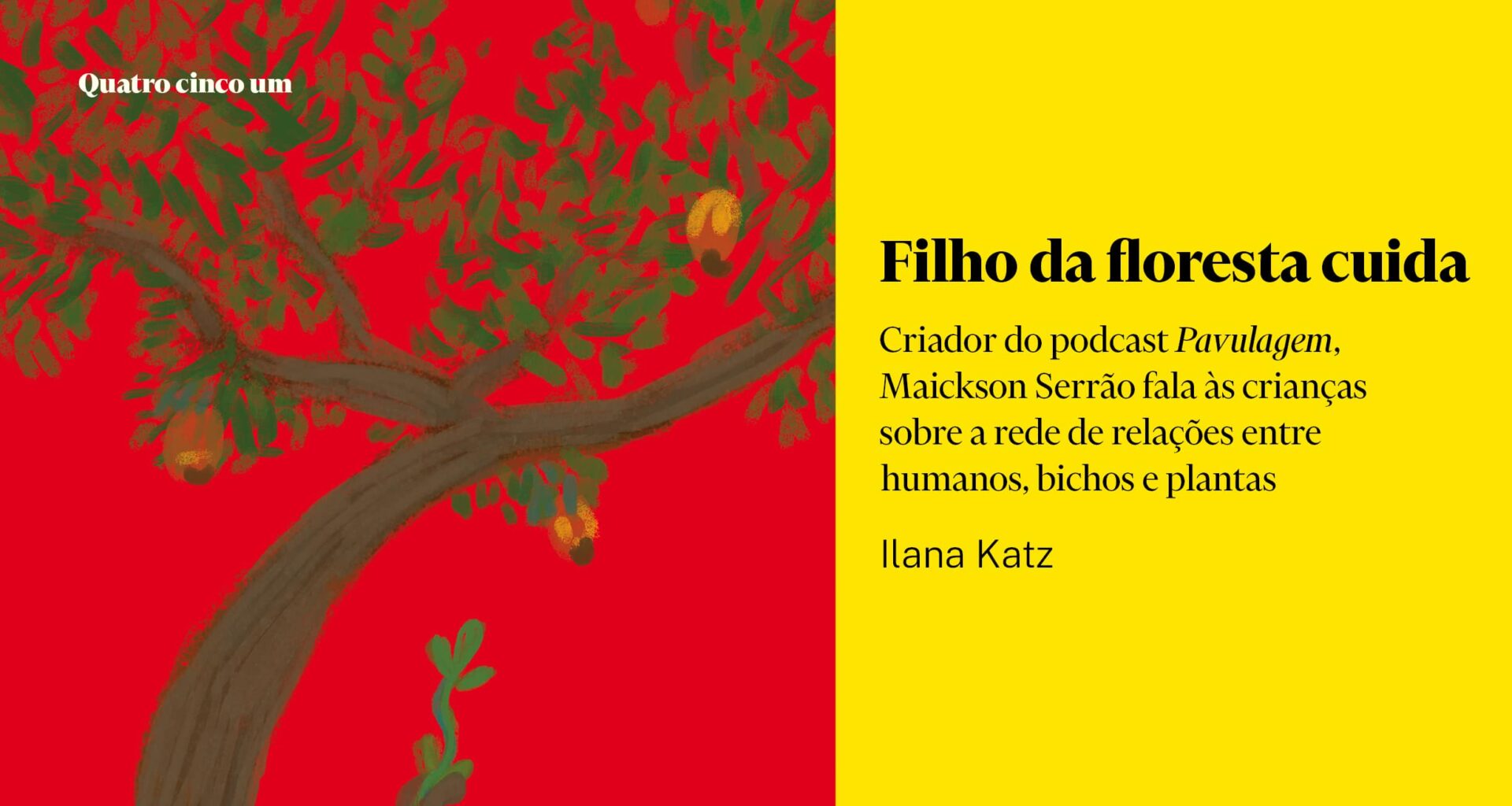 Filho da floresta cuida - Quatro cinco um