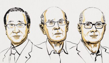 "Estruturas metalorgânicas". Nobel da Química premeia Susumu Kitagawa, Richard Robson e Omar Yaghi