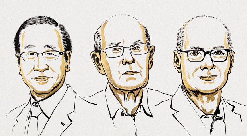 "Estruturas metalorgânicas". Nobel da Química premeia Susumu Kitagawa, Richard Robson e Omar Yaghi
