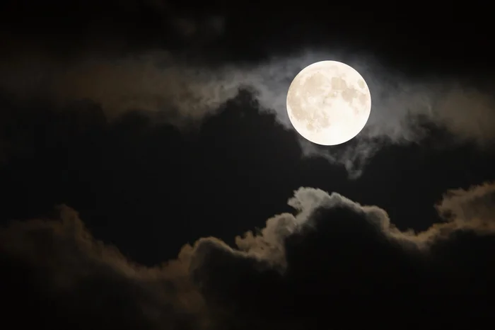 Stefanie / stock.adobe.com