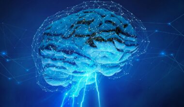 "Interruptor de açúcar" no cérebro, um novo caminho anti-depressão