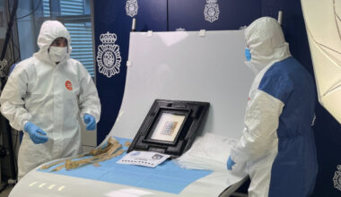 Jornal de Notícias Logo