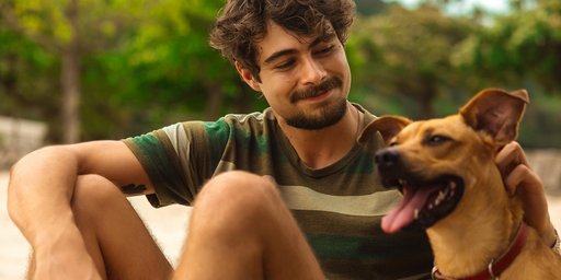 Cachorro do filme "Caramelo" morre no final? veja onde assistir ao filme - GZH