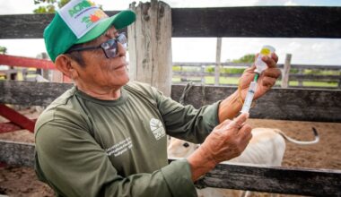 Prefeitura Municipal de Boa Vista