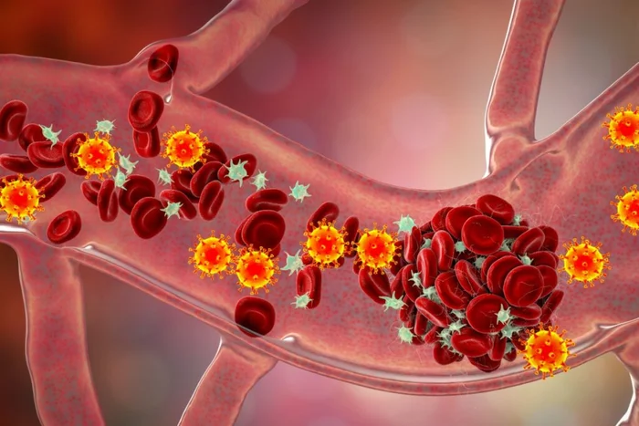 Kateryna Kon / Shutterstock | Portal EdiCase