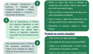 ULS Braga apela à colaboração da população