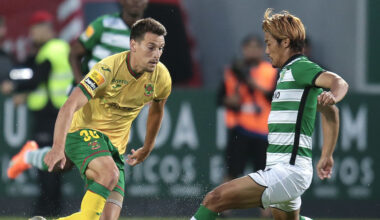 Leões iniciam defesa da Taça contra castores que há muito não lhes mordem
