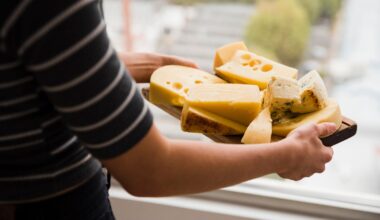 Vírus da gripe das aves sobrevive meses em queijo feito com leite sem pasteurização