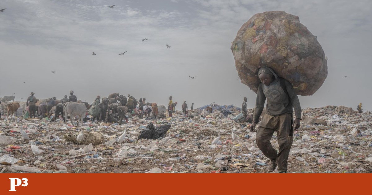 Eles trabalham na maior lixeira de África Ocidental enquanto sonham chegar à Europa | Encontros da Imagem