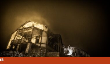 Imagem da hiena mais rara do mundo vence o prémio de Fotógrafo de Vida Selvagem do Ano | Fotogaleria