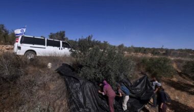 Jornal de Notícias Logo