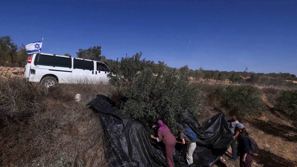 Jornal de Notícias Logo